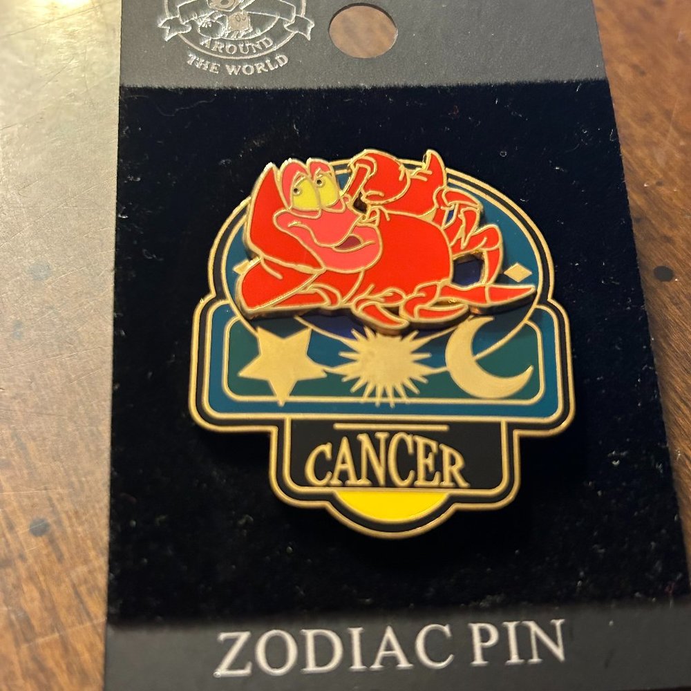 Walt Disney World Cancer pin
